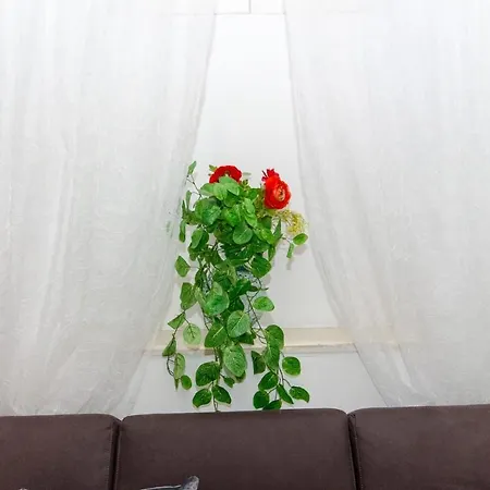 Apartmán Cozy Center For 2 *